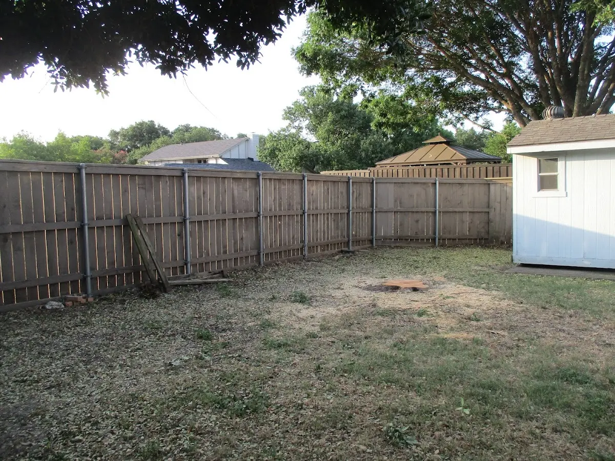 Cleared yard after professional tree removal in Punxsutawney
